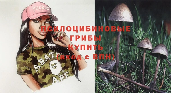 МДПВ Нефтегорск