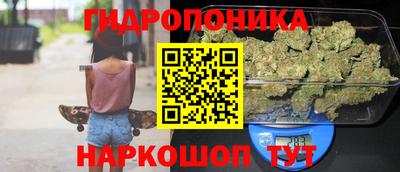 apvp Балашиха