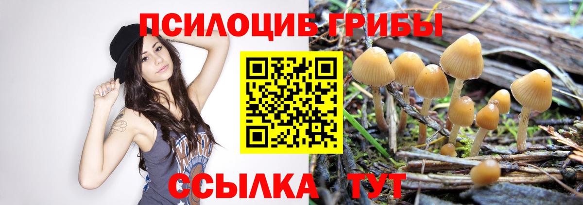 Галлюциногенные грибы MAGIC MUSHROOMS  Псилоцибиновые грибы GOLDEN TEACHER  Боровичи 